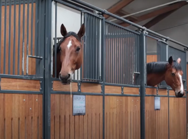 Stallmatte Pallpris 45 stk - Bilde 4